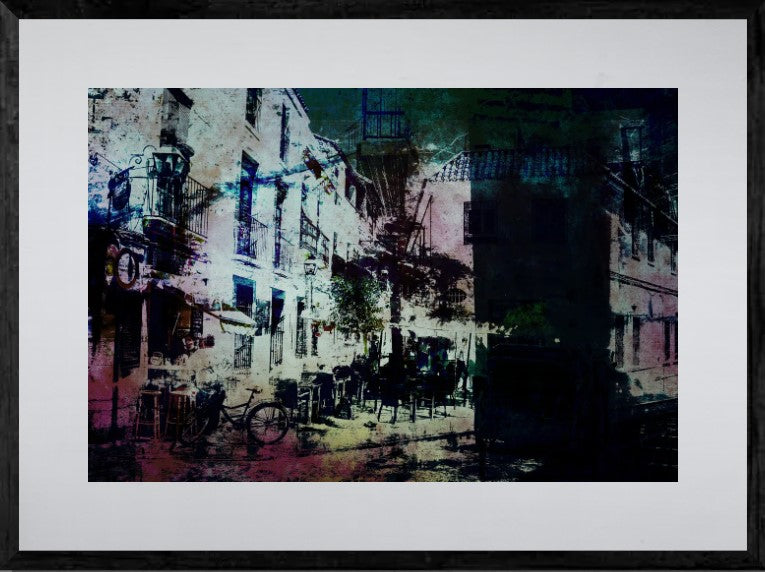 Dolphin Limited Edition "In the Rainy City"