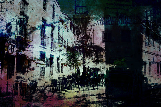 Dolphin Limited Edition "In the Rainy City"