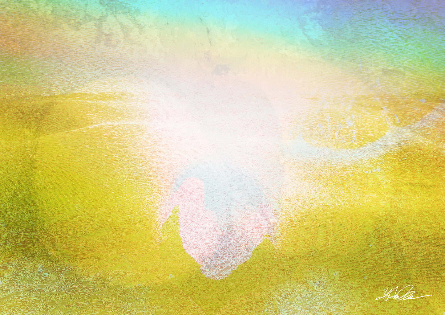 光のポートレート R.K.