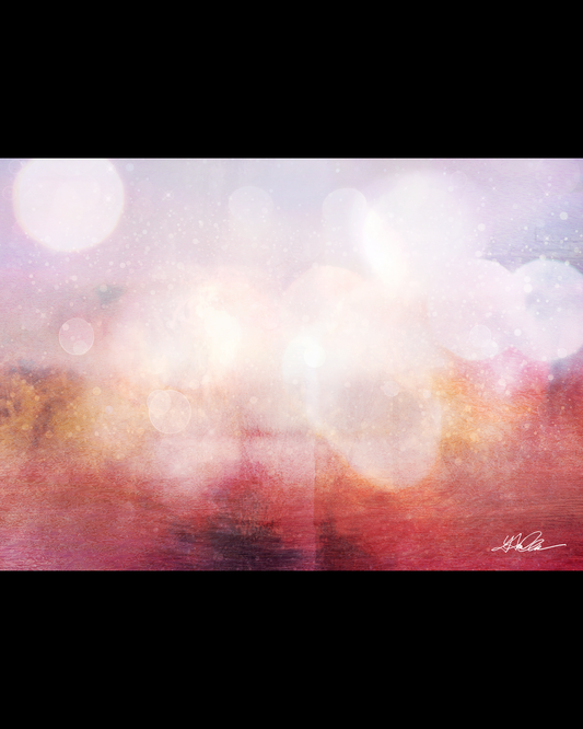 光の肖像画　S.K.