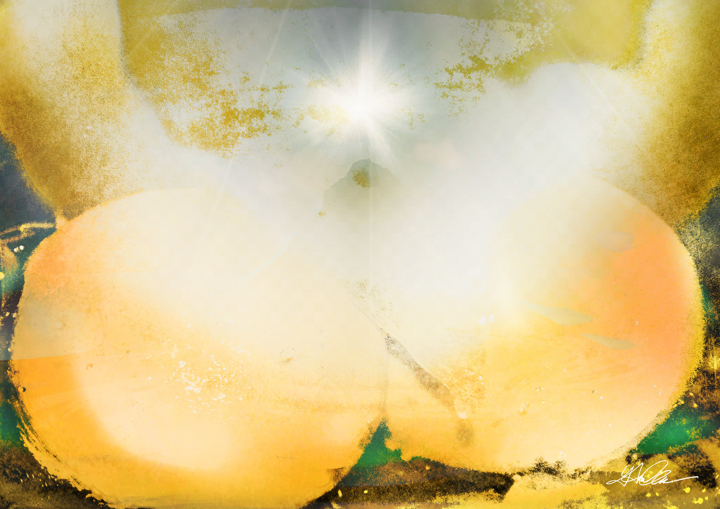 光のポートレート Saya