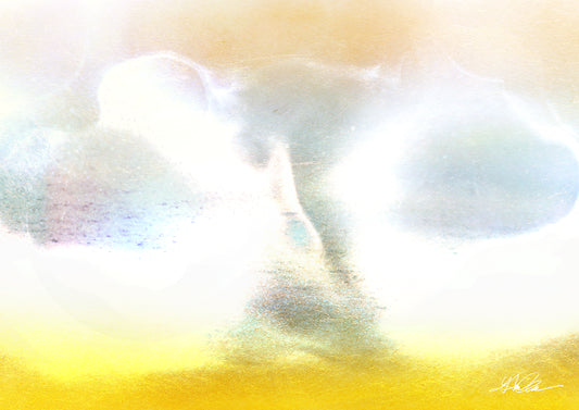 光のポートレートY.T.