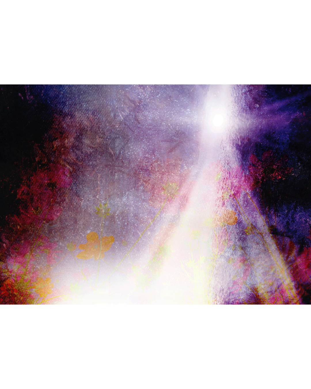 「やさしさに包まれたなら」